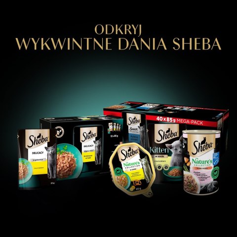SHEBA Select Slices drób/kurczak/indyk w sosie - mokra karma dla kota - tacka - 32x85 g SHEBA Select Slices drób/kurczak/indyk w sosie - mokra karma dla kota - tacka - 32x85 g