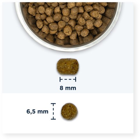 Eukanuba Adult Hairball Control Rich in Chicken - sucha karma dla kota - 10 kg Eukanuba Adult Hairball Control Rich in Chicken - sucha karma dla kota - 10 kg