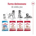 ROYAL CANIN SHN Medium Adult 7+ - sucha karma dla psa dorosłego - 15 kg