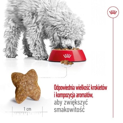 Royal Canin SHN Mini Adult 4kg Royal Canin SHN Mini Adult 4kg