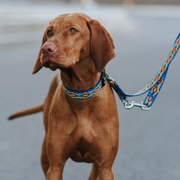 DINGO smycz 